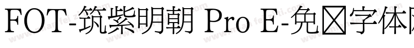 FOT-筑紫明朝 Pro E字体转换
